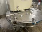Sancassiano Double Spiral Mixer